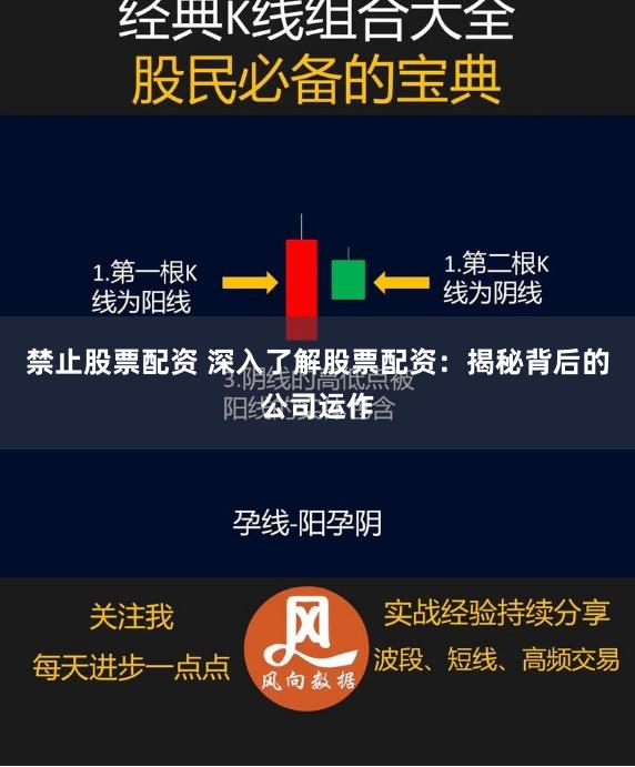 禁止股票配资 深入了解股票配资：揭秘背后的公司运作