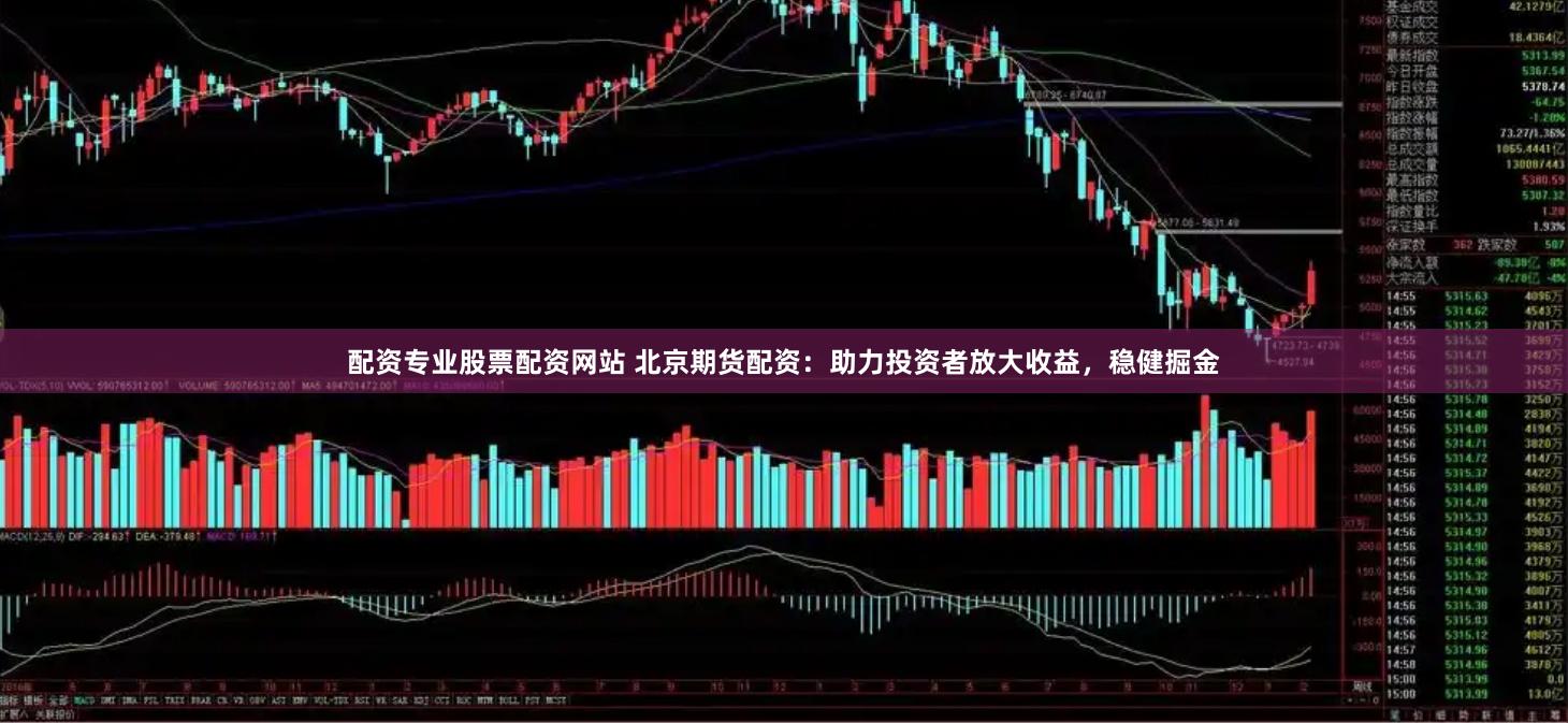 配资专业股票配资网站 北京期货配资：助力投资者放大收益，稳健掘金