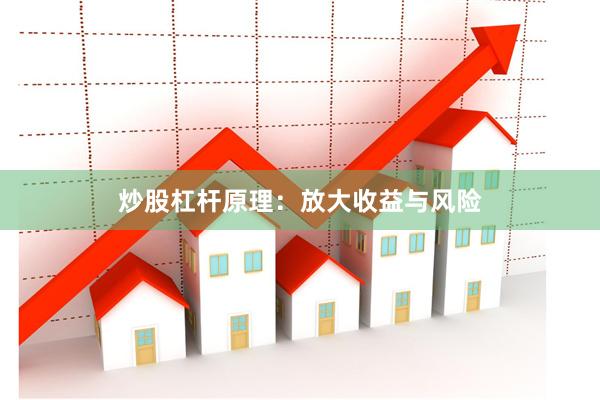炒股杠杆原理：放大收益与风险