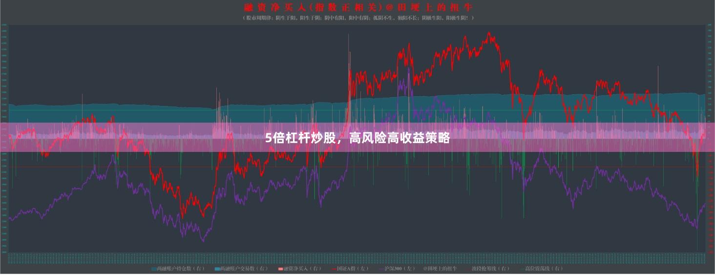 5倍杠杆炒股，高风险高收益策略